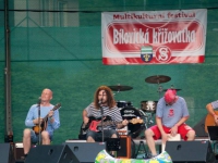 Bílovická křižovatka 2013