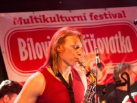 Bílovická křižovatka 2013